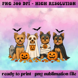 May include: A Halloween-themed illustration featuring four Yorkshire Terriers in costumes. One is a ghost, another a mummy, and a third wears a cape. Pumpkins, bats, and fall leaves complete the festive design. The text at the top says "PNG 300 DPI - HIGH RESOLUTION".