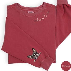 Pode incluir: Camisola de cor vermelha carmim com um nome bordado a branco "charlie" na gola e um c&atilde;o preto e branco a espreitar da manga.