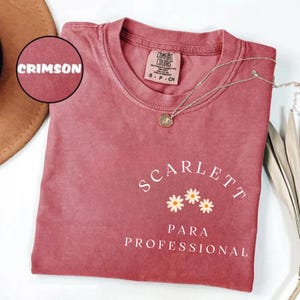 Comfort Colors® Paraprofessional Shirt, Custom Para Squad Shirt, Personalized Paraprofessional Tees, Para Shirt Gift, Teacher Aide Gift E351