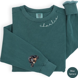 Peut inclure: Un sweat-shirt bleu sarcelle avec un nom brodé en blanc "charlie" sur le devant et une tête de chien brodée sur la manche. Le sweat-shirt est fabriqué par Comfort Colors.