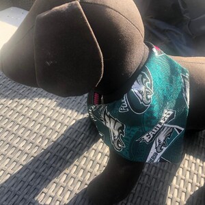 Philadelphia Eagles retro cotton fabric Dog/Pet Bandana/Scarf/Neckwear/Hankerchief, slip over the collar (benefits non-profit dog rescue)