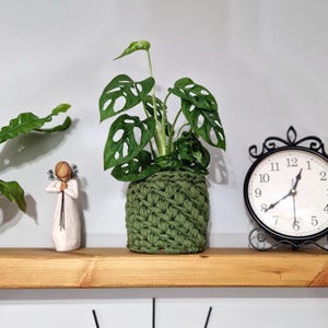 May include: A green crocheted plant pot with a Monstera plant inside. The pot is sitting on a wooden shelf with a small white figurine and a black clock.