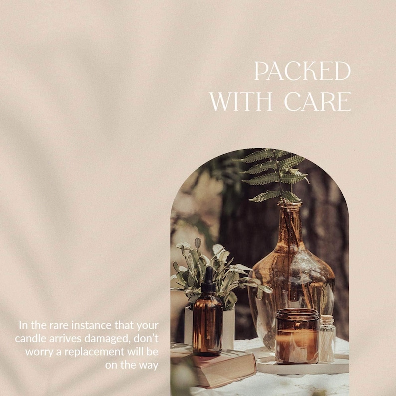 a collection of various glass bottles and vases, including a large glass bottle with a plant growing in it, arranged on a table. The text overlay reads "PACKED WITH CARE" and provides a cautionary message about the importance of taking care of one's belongings.