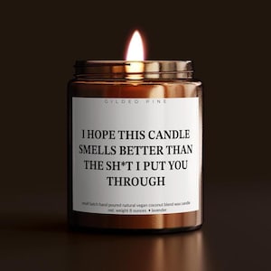 Apology Gift - Funny & Heartfelt - &quot;I Hope This Candle Smells Better Than the Sh*t I Put You Through&quot;