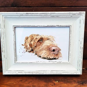 Drahthaar Vizsla Mini Kunstdruck 17 x 12 cm – gerahmt Weißer rustikaler Rahmen (sortiert) Draht Vizsla Kunstdruck gerahmt, Vizsla Hund Deko, Geschenk für Hundeliebhaber