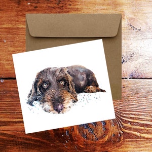 Schoko Wirehaired Dackel III Grußkarte.Wirehaired Dackel Karte,Wire Dackel Karte,Wire Dackel Grußkarte,Wire Dackel Grußkarte