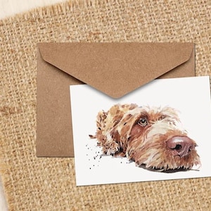 Wirehaired Vizsla Note / Carte de vœux.Wirehaired Vizsla cartes,Wirehaired Vizsla cards,Wirehaired Vizsla cartes de vœux
