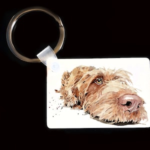 Wirehaired Vizsla Keyrings (Assorted) .Wirehaired Vizsla Keyring,Wirehaired Vizsla Dog Keyring, Wirehaired Vizsla Keyring