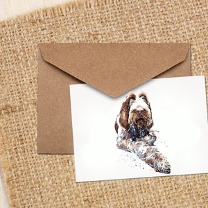 Spinone Italiano Acquerello Art Note/Greeting Card-Spinone Italiano Biglietto di auguri,Spinone Italiano Note card,Spinone Italiano acquerello