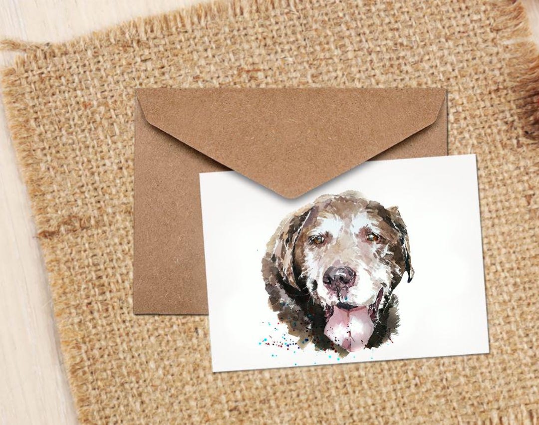 Photo inspiration: Gallery Detail: Old Chocolate Labrador Card Senior Dog Greeting