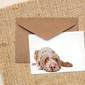 Carte de vœux Vizsla II à poil dur.Cartes Vizsla à poil dur, cartes Vizsla à poil dur, cartes de vœux Vizsla à poil dur
