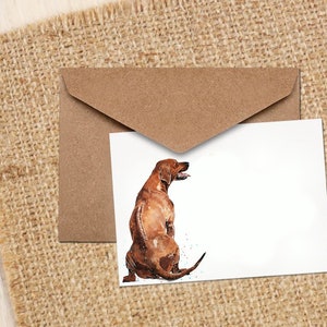 Rhodesian Ridgeback Art  Greeting/Note Card.Rhodesian Ridgeback cards,Rhodesian Ridgeback note cards, Rhodesian Ridgeback greeting cards.