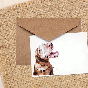 Sugar Vizsla O que está cozinhando cartão de felicitações/notas. Cartões Vizsla, cartões Vizsla, cartões Vizsla, cartões Vizsla