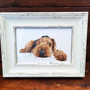 Airedale Mini Art Print – witte, rustiek ingelijste hondenklas, 17 x 12 cm. Mini Airedale-bureaukunst