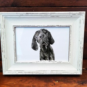Op de afbeelding: Een zwart-wit aquarel van een hond met hangende oren en een nieuwsgierige blik, ingelijst in een rechthoekige, verweerde gebroken witte houten lijst met een brede rand en zichtbare verfschilfers langs de randen.