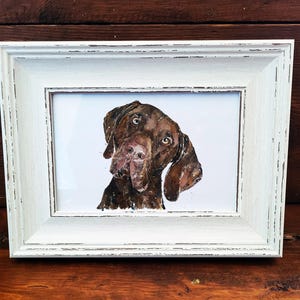 Mini arte GSP Dog 17 x 12 cm – Moldura rústica branca – Um amigo leal em miniatura. Mini arte GSP Dog