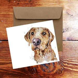 Carte de voeux/notes Labrador renard roux. Carte labrador, carte de voeux labrador, carte de voeux labrador chocolat