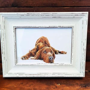 Irish Red Setter Mini Art Print 17x12cm – Framed White Rustic Frame | Setter Dog Wall Art, Irish Setter Decor, Gift for Red Setter Lovers