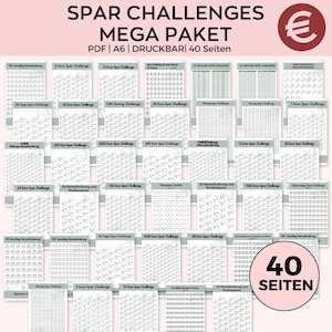 Mini Spar Challenge Bundle mit Tracker für A6 Budget Ordner, Spar Challenge Bundle mit 1  Euro, 5  Euro und 20  Euro Scheinen