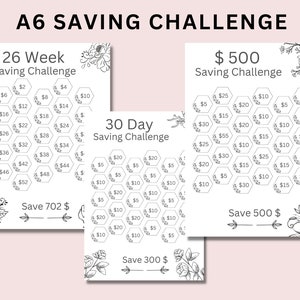 May include: A printable A6 size savings challenge with three different options: a 26-week challenge to save $702, a 30-day challenge to save $300, and a $500 savings challenge. Each challenge is presented in a honeycomb pattern with dollar amounts listed in each hexagon.