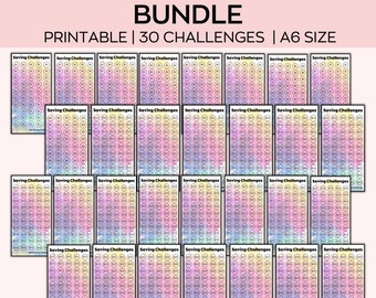 A6-spaaruitdagingen-bundel, A6-begrotingsmappen, uitdaging 100 enveloppen, contant budgetmap, mini-spaaruitdagingtrackers