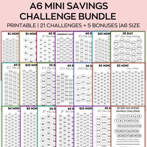 Low Income Savings Challenge Printable, A6 Mini Savings Challenge bundle, Money Saving Challeng, budget binder, 100 Envelope Challenge Cash