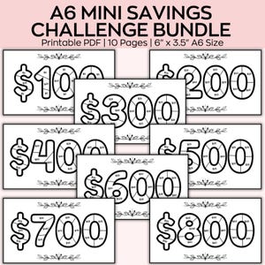 Pacchetto A6 Mini Savings Challenge, Risparmi a basso reddito, Raccoglitore di budget, Sfide di risparmio, Pianificatore finanziario