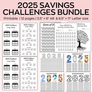 2025 Spar-Challenges Sparen 2025 in 2025, 2025 Spar-Challenges Megabund, Option für geringes Einkommen, Haushaltsplaner, 100 Umschläge