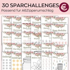 A6 Spar challenge as a digital Download Budget Book, Envelope Method Spar Binder Zipper Cash Stuffing, Coin Saving Challenge, German set 30