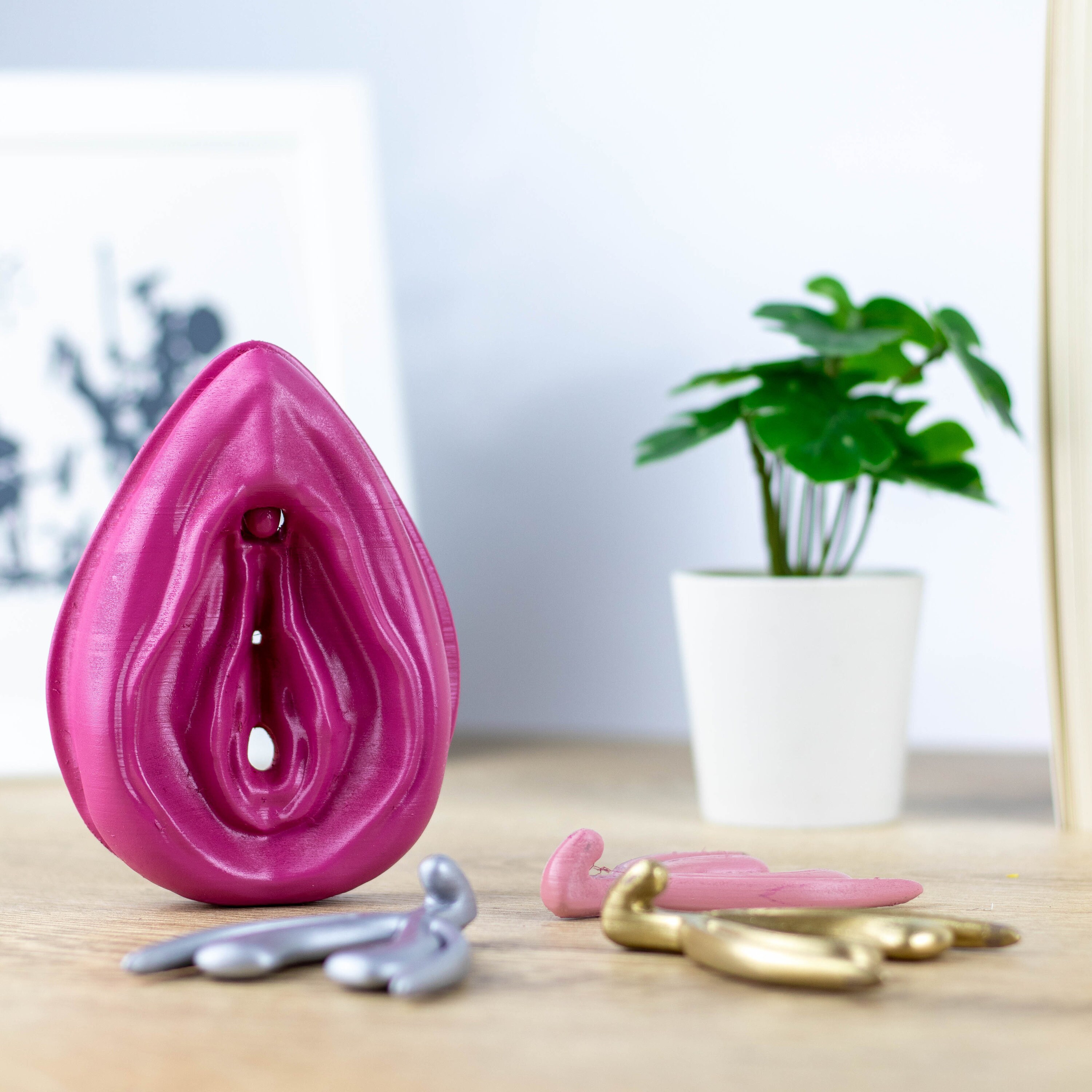 Life Size Anatomical Vagina Vulva Clitoris and Edu Notes,3D printed Vagina Model,Sexual Health Education,Pink Magenta Gold Grey Color