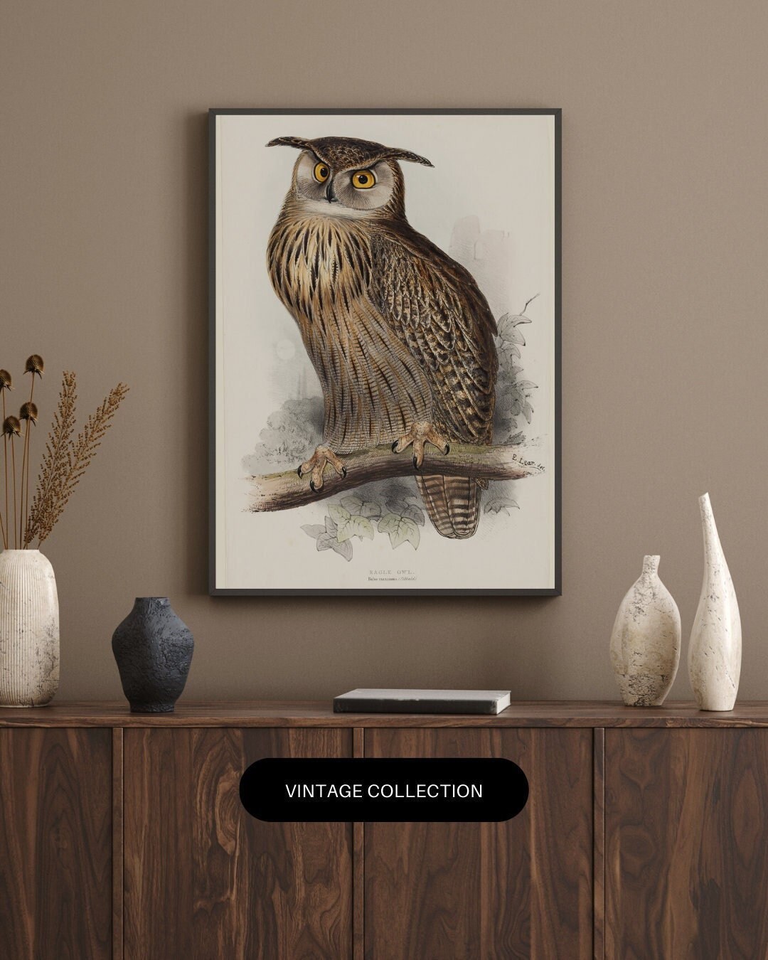 Vintage Owl Illustration / Antique Wall Decor Printable Digital ...