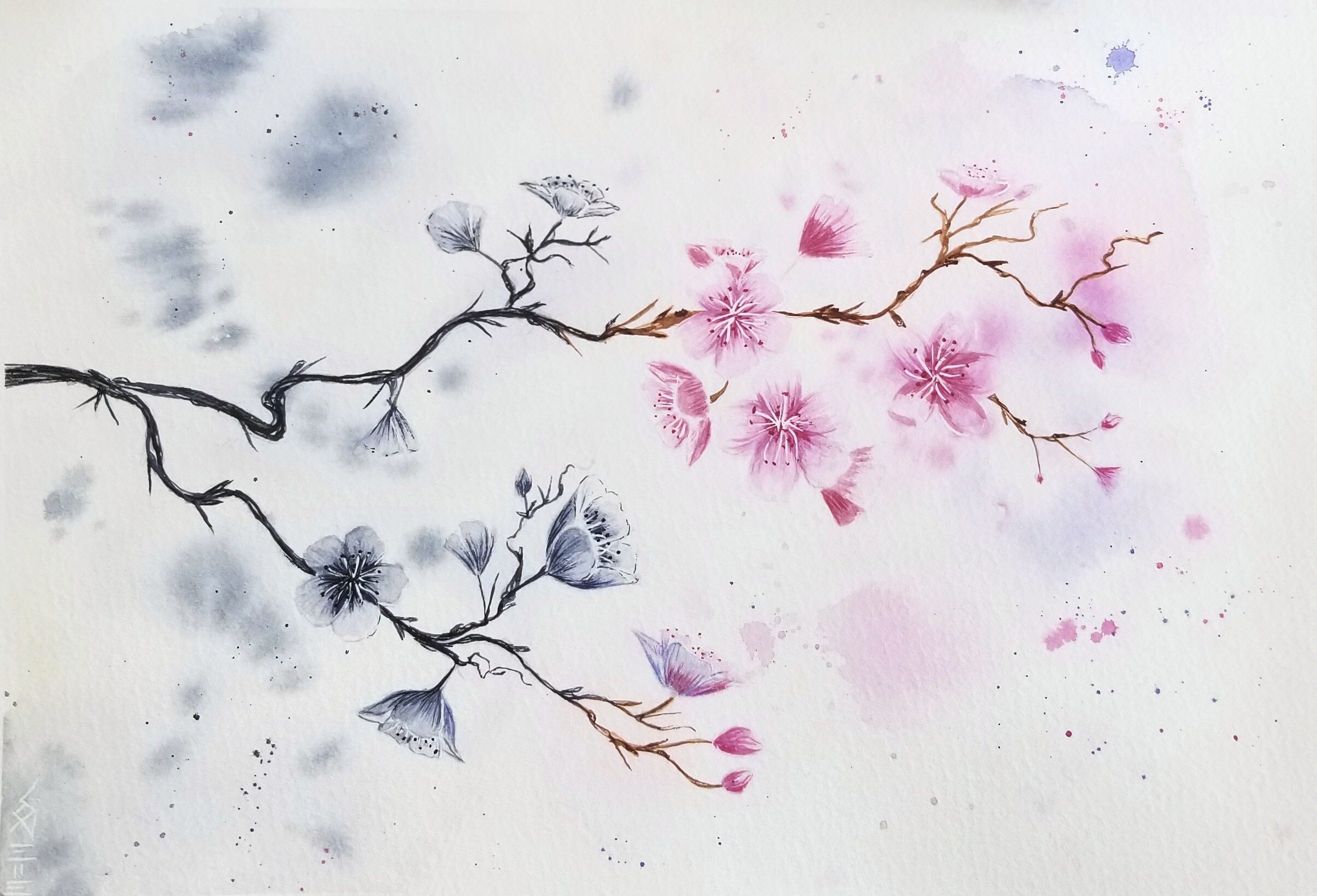 Aquarelle originale fleurs de cerisier du Japon, peinture sakura, cherry  blossom décoration, tableau noir et blanc, déco printemps couleurs -   France