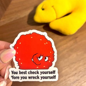 Meatwad, Do What Now? Aqua Teen Hunger Force, Check Yourself, ATHF, Water-Resistant, Handwash Only