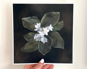Massachusetts Mayflower Print, Flower Art, Floral Art, Massachusetts Art, State Flower Art, State Flower Gift, Massachusets Gift
