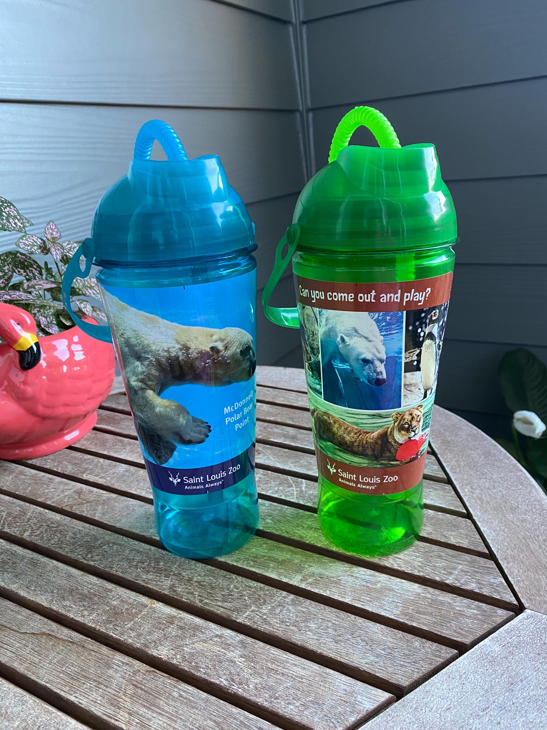 Saint Louis Zoo Whirley Souvenir Cups - Etsy