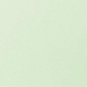 Eco leather - mint