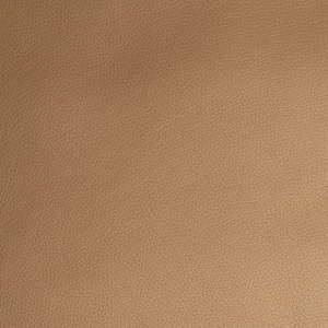 Eco leather - gold