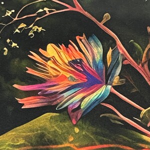 May include: A vibrant, multi-coloured flower with petals in shades of red, orange, yellow, blue, and green. The flower is in bloom and has a delicate, intricate structure. The background is a dark green and black, creating a dramatic contrast with the bright colours of the flower.