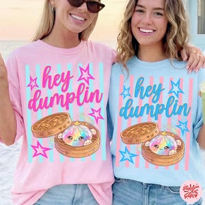 May include: Pink and light blue t-shirts with the text "hey dumplin" and a graphic of a dumpling in a bamboo steamer. The design includes stars and vertical stripes. The shirts are worn by two people.