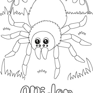 Spider Coloring Page, DIGITAL DOWNLOAD, Printable Coloring Page