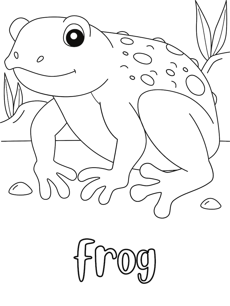 Frog Coloring Page DIGITAL DOWNLOAD Printable Coloring Page Etsy