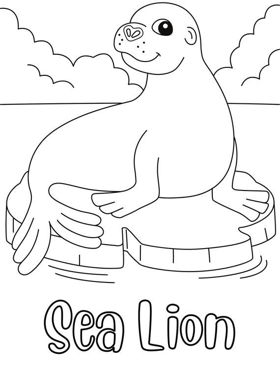 Sea Lion Coloring Page DIGITAL DOWNLOAD Coloring Page for Etsy