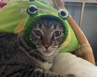 Crocheted Cat Hat - Froggy