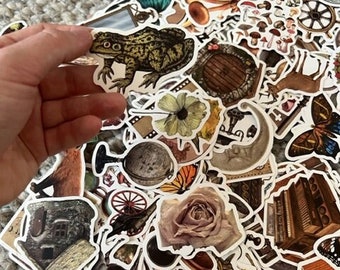 Vintage Cottage Core Mystery Stickers (50 pieces) | Waterproof Frog Forest Retro