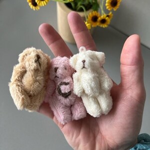 Custom Mini Pet Teddy Bear | Pocket Bear Cute Keychain | Adopt a teddy bear | Tiny Soft Fuzzy Stuffed Teddy Bear