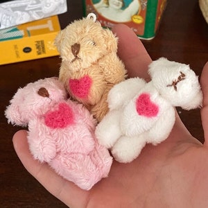 Custom Mini Pet Teddy Bear | Pocket Bear Cute Keychain | Adopt a teddy bear | Tiny Soft Fuzzy Stuffed Teddy Bear