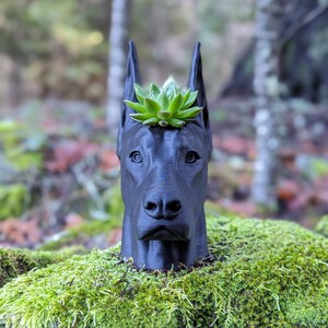 Doberman Planter, Cropped Ears image 3