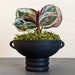 see more listings in the Planter section