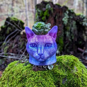 Galaxy Cat Planter