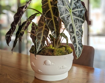 Cloud Planter with Drip Tray